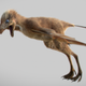 Digital reconstruction of Ambopteryx longibrachium.